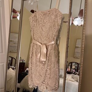 Cache Lace Mini Dress in Beige